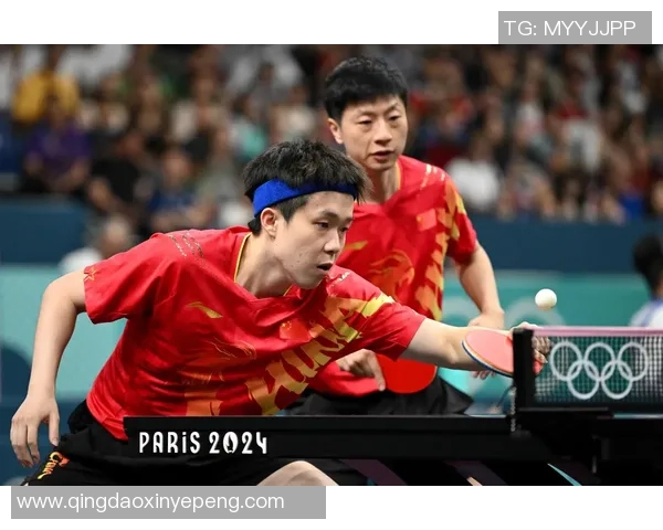 南京乒乓球队个人能力深度解析与发展潜力探讨 南京乒乓球队个人能力深度解析与发展潜力探讨