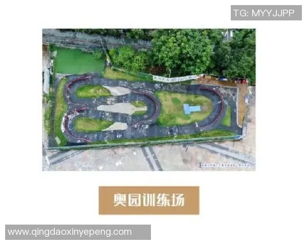 深圳极限运动队的进攻体系探索与战术创新分析