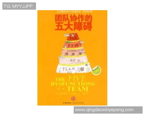 深圳乒乓球队逆袭之路：创新策略与团队协作的成功案例分析