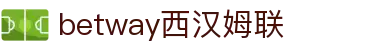 BETWAY·必威(西汉姆联)官方网站-West Ham United